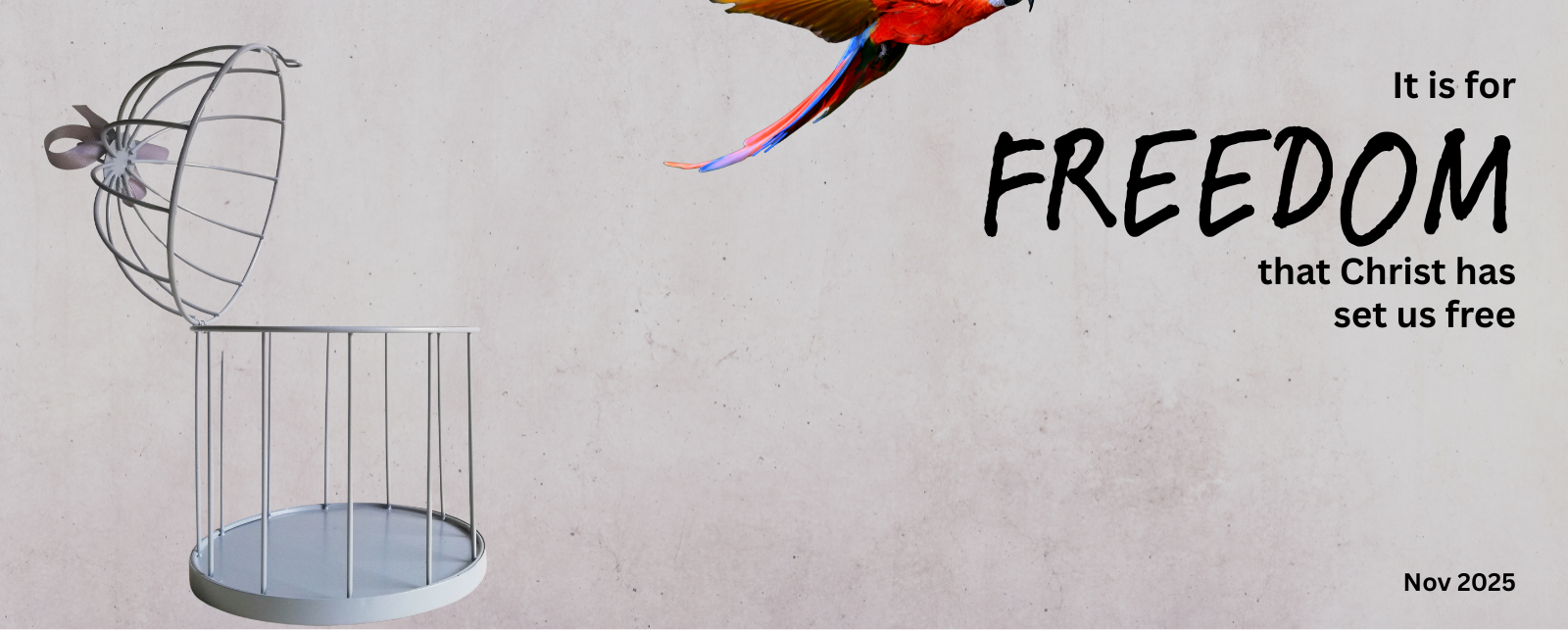 FREEDOM (1600 x 643 px)