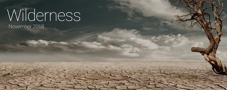 Website Banner 1600 x 640 2018